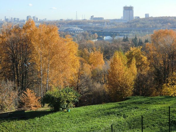 Парк Воробьевы горы Москва