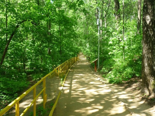 Природный заказник Воробьевы горы Москва