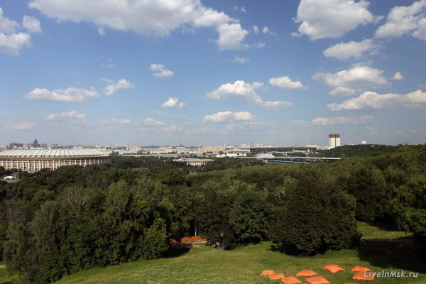 Воробьёвы горы Москва парк