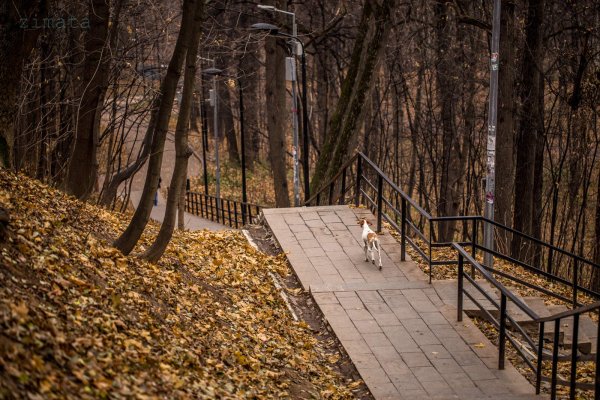 Воробьёвы горы парк