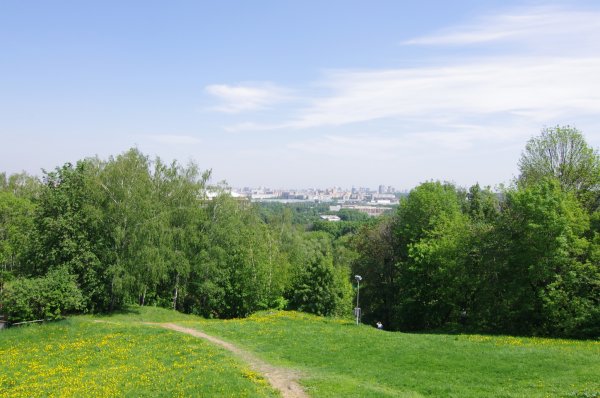 Воробьевы горы аллея