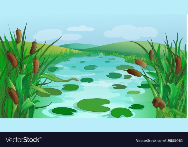 Болото для дошкольников