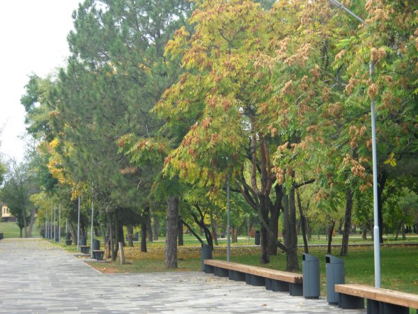 Приморский парк Таганрог новый