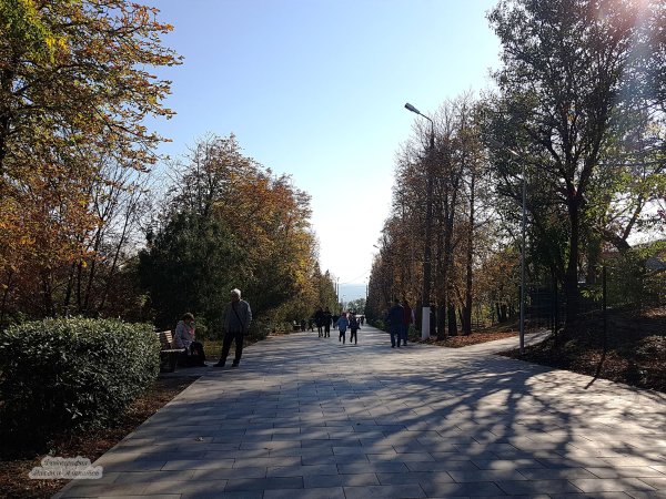 Приморский парк Таганрог