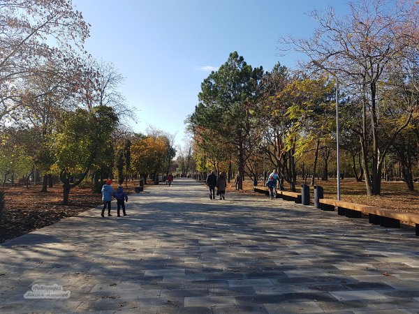 Приморский парк Таганрог