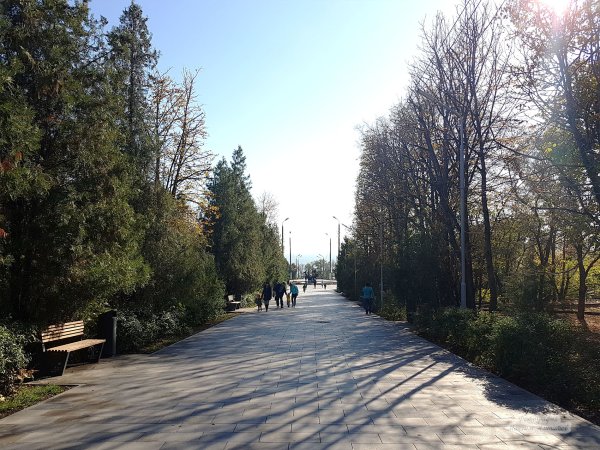 Приморский парк Таганрог