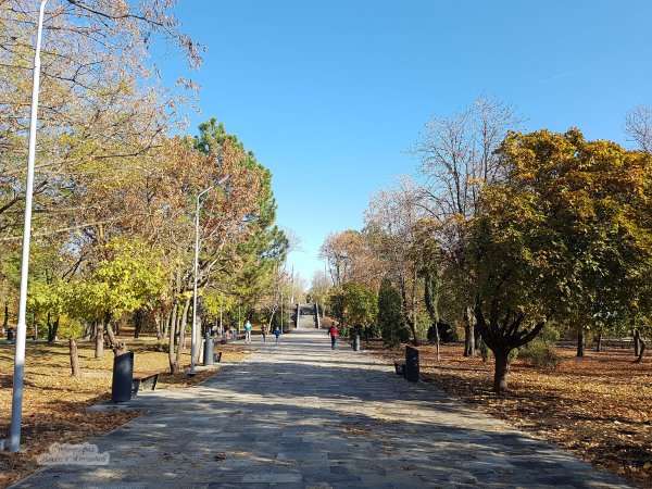 Приморский парк Таганрог