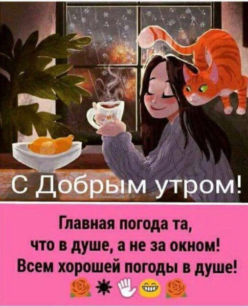 Доброе утро несмотря на погоду