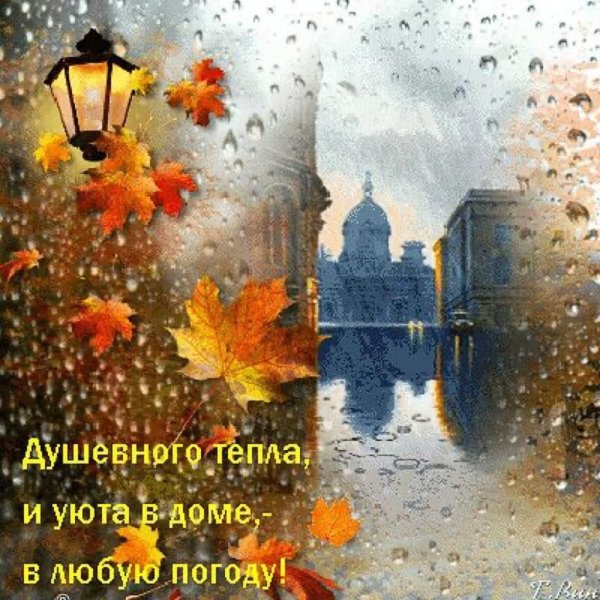 Душевного тепла в любую погоду