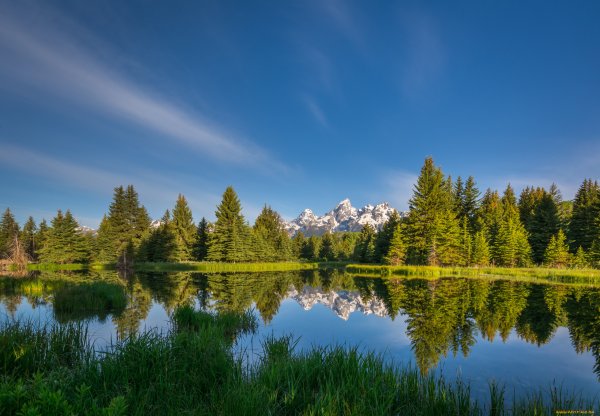 Природа озеро