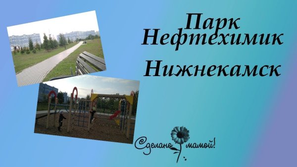 Нижнекамск парк Нефтехим