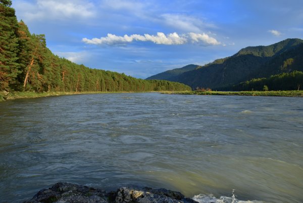 Река ниня Алтайский край