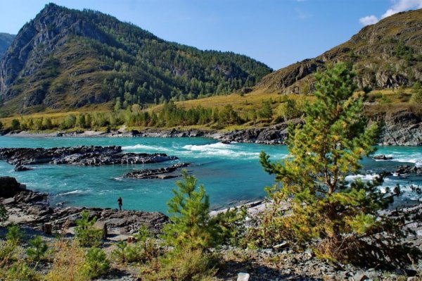 Алтайский край Катунь река горный Алтай