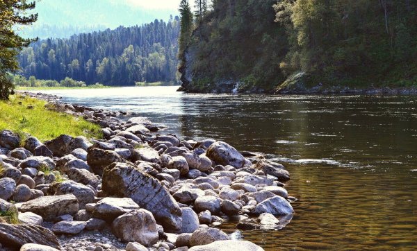 Река Бия Республика Алтай