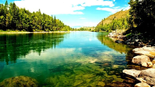 Горный Алтай река Бия Катунь