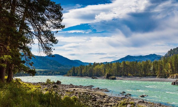 Горный Алтай бирюзовая Катунь