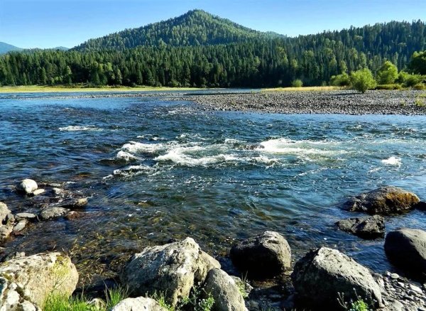 Река Бия Алтайский край