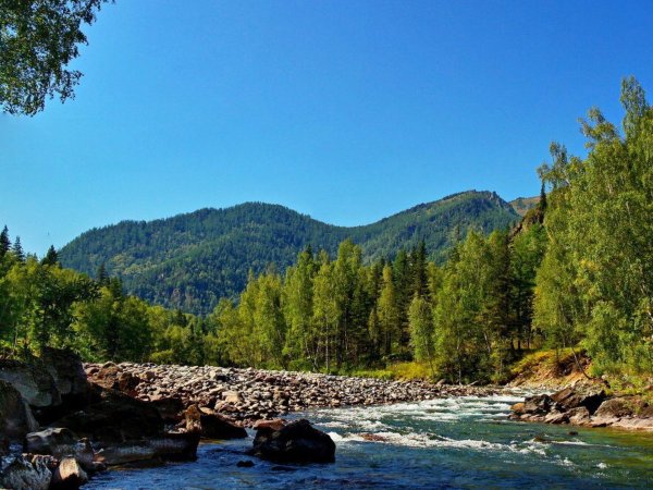 Река кумир горный Алтай