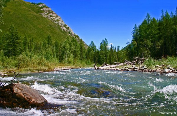 Беловодье горный Алтай