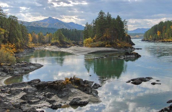 Природа горного Алтая река Катунь