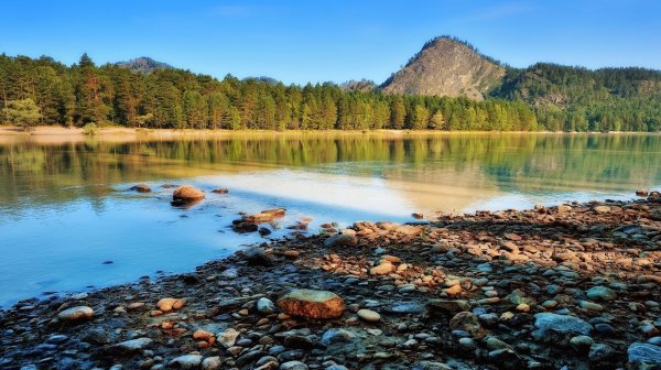 Алтай берега реки Катунь