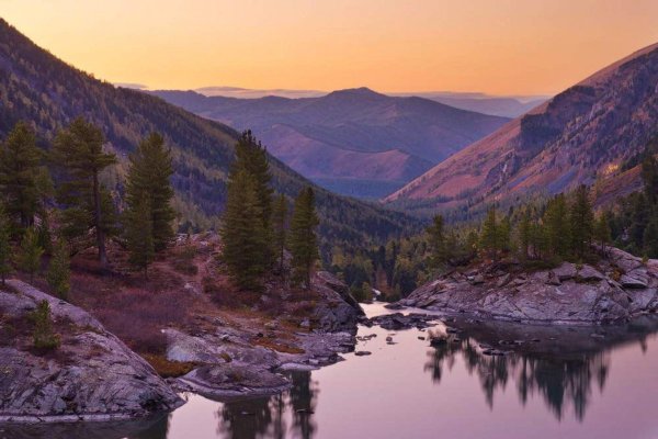 Алтай Тайга