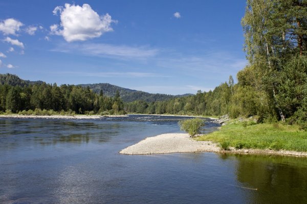 Река Бия Катунь Алтайский край