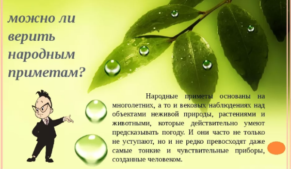 Народные приметы 2 класс окружающий мир
