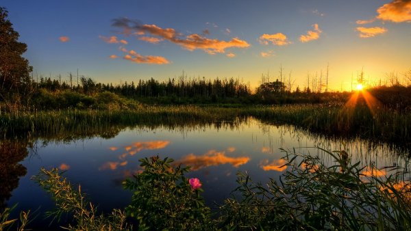 Летний закат