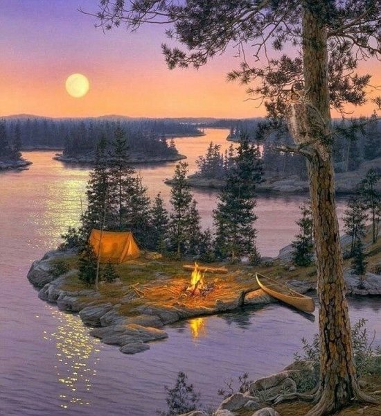 Даррелл Буш закат