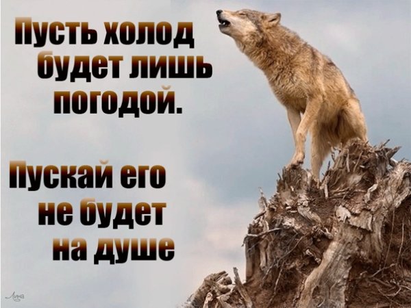 Пусть холод будет лишь
