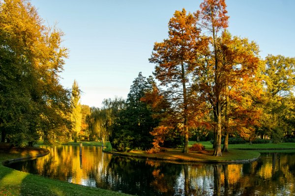 Ранняя осень