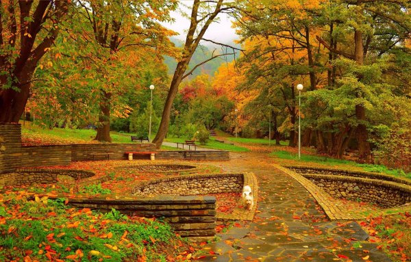 Осень в парке