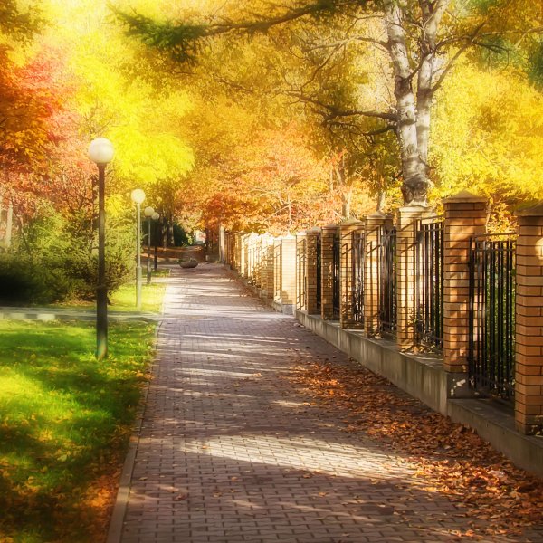 Осенний парк