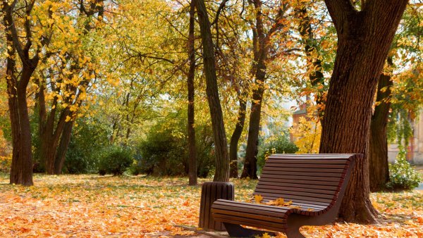 Парк осенью