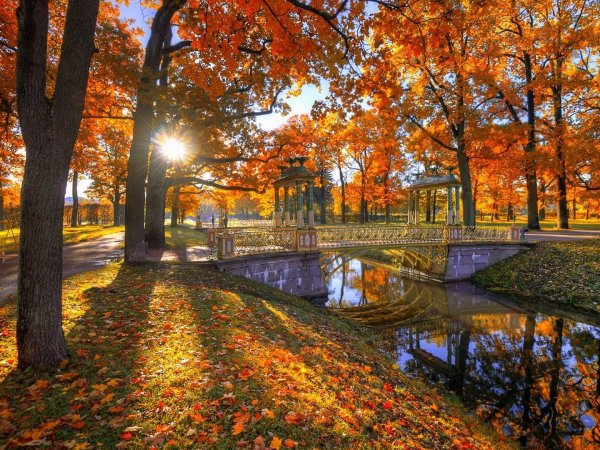 Эдуард Гордеев осень в Царском селе.