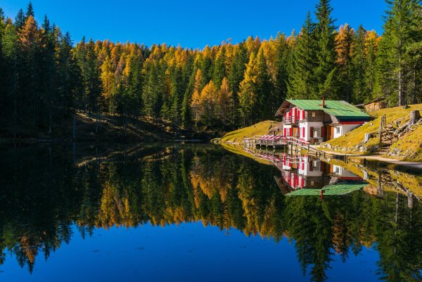 Американский дом у озера в лесу Тахо