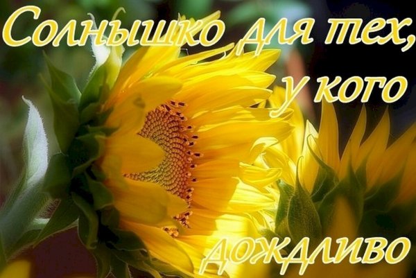 Солнечного настроения в пасмурный день