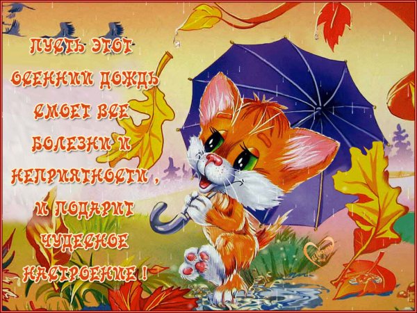 Хорошего настроения в дождливую осень