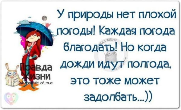 Смешные высказывания в картинках про погоду