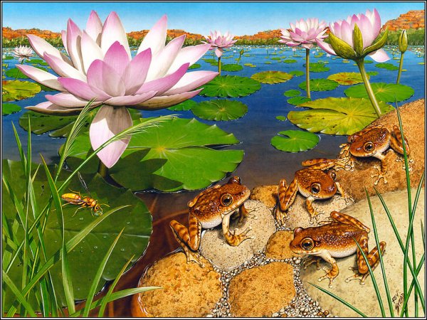 Пейзаж с лягушками