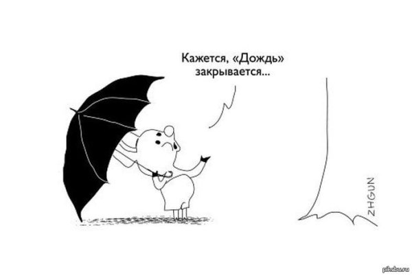 Шутки про дождь в картинках
