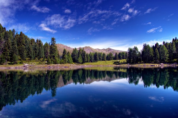 Лесное (озеро, Северная Америка)