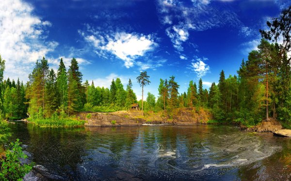 Республика Карелия Тайга