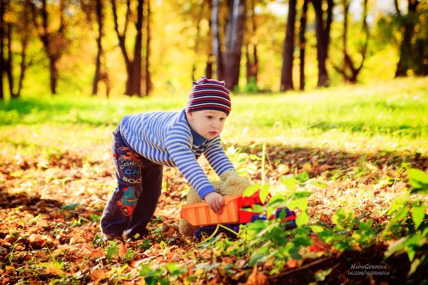 Дети в парке осень