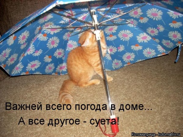 Важный всего погода в доме