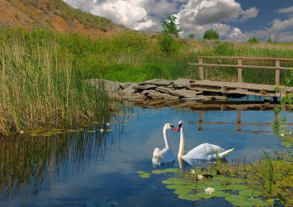 Река большая Караганка Аркаим