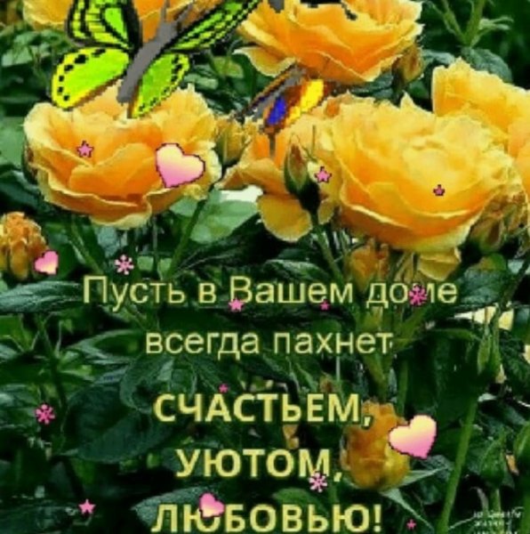 Тепла в душе и радости в любую погоду