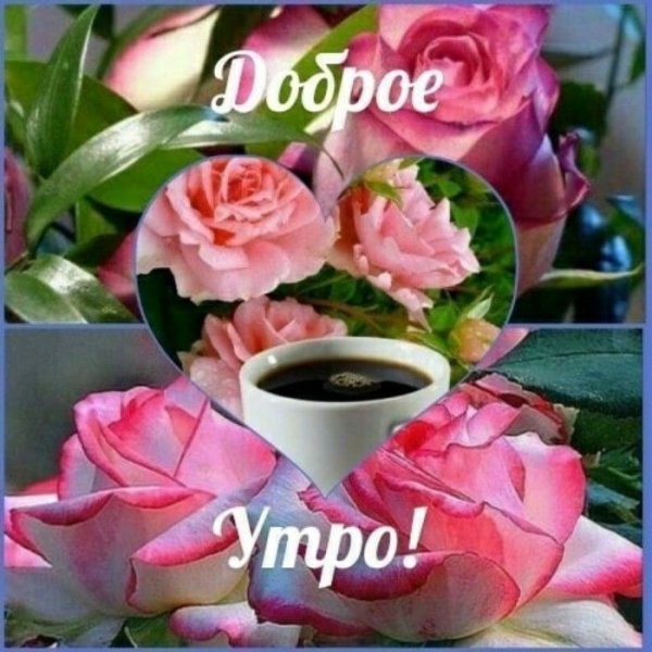 Доброе утро Томочка