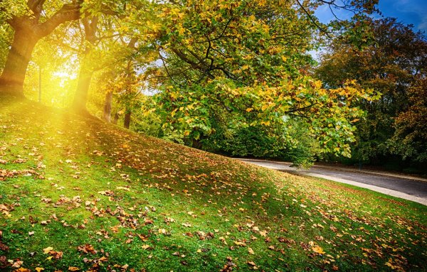 Осенний пейзаж Солнечный парк